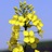 UKBRC's profile image