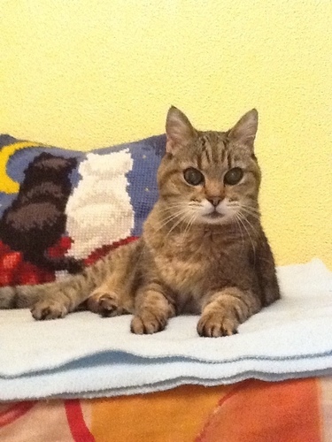 VCroissier69's profile picture. 