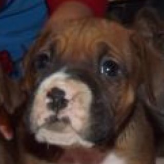 3pattid's profile picture. 