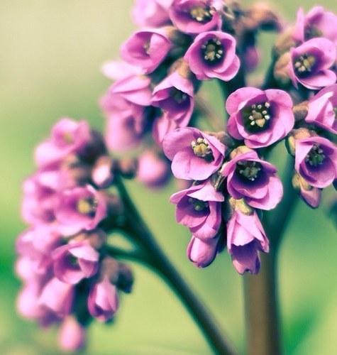 ksobhi's profile picture. 