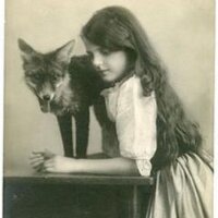 hollyeh (@hollye_h) 's Twitter Profile