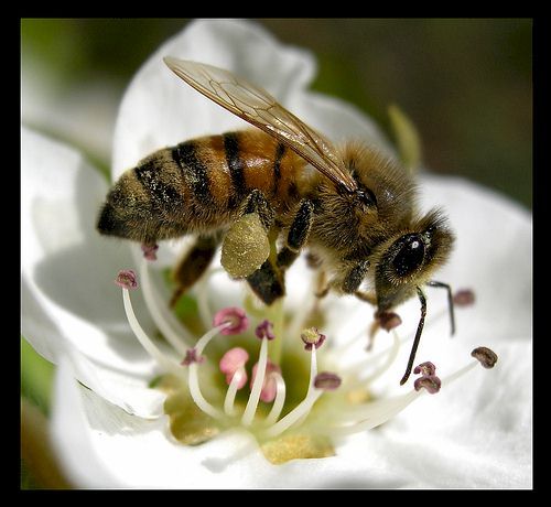 pintrsmith's profile picture. 