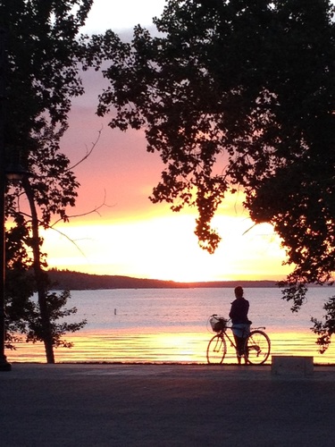 aimer_11's profile picture. NAIT Health & Wellness Programmer, personal fitness trainer, Sports fan, dog friendly :)