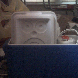 CharmsConrad's profile picture. 