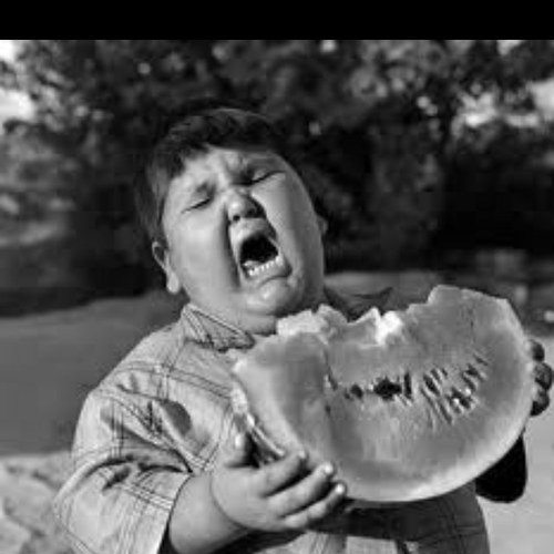 cubesolver98's profile picture. 