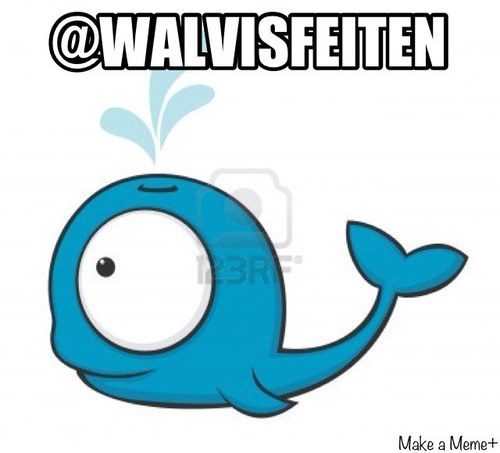 Voor de leukste en raarste walvisfeiten