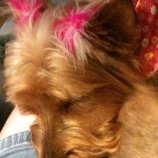 Crkelley12's profile picture. 