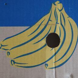 Bananija's profile picture. 