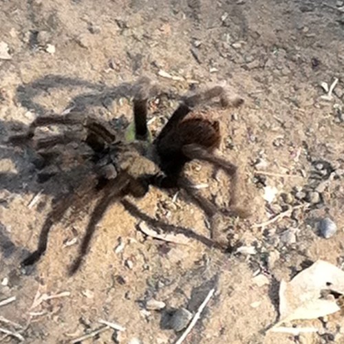 bulrichs's profile picture. 