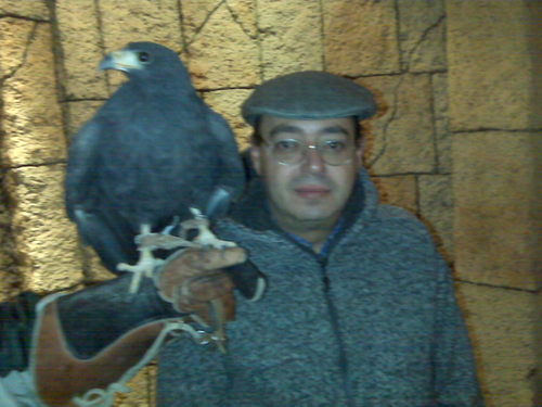 caae_00's profile picture. 