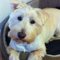 sellindge18's profile picture. If you like it alright, if not alright, alright...
"If you tell the truth, you don't have to remember anything."(MT)