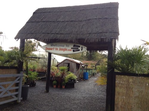 Exotic plant centre wide range of plants bamboos agaves tree ferns bananas and many more