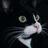cocoon757's profile image