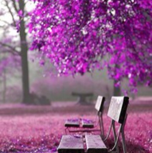 JMDavis808's profile picture. 