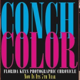 ConchColor's profile picture. #FloridaKeys Full Color Weekly Photographic Chronicle of Local #FlKeys & #KeyWest events!