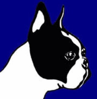 MiVasconi's profile picture. 