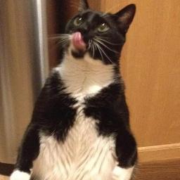 Meow! I'm Sebastian! Muh daddies be @NoMiJason and @MarkTundel.