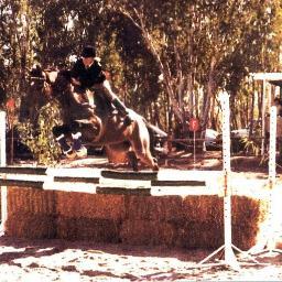 Carol_in_SA's profile picture. Arsenal & Barcelona fan since '98 and proud of it