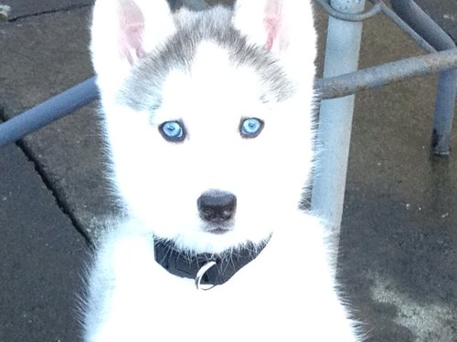 eck1981's profile picture. 