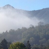 David and Kira Swaim (@tamrealty) 's Twitter Profile