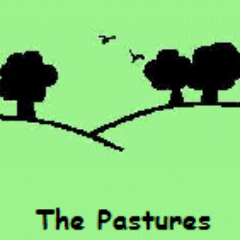 The Pastures Primary Profile