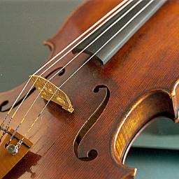 Wait, what's a viola?