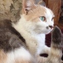 Karla Hacker - @kakhacker - Twitter