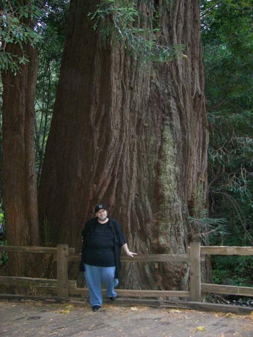 Drew_Stein's profile picture. CEO of Involve -a proven leader  in  3D web, social media and emerging media