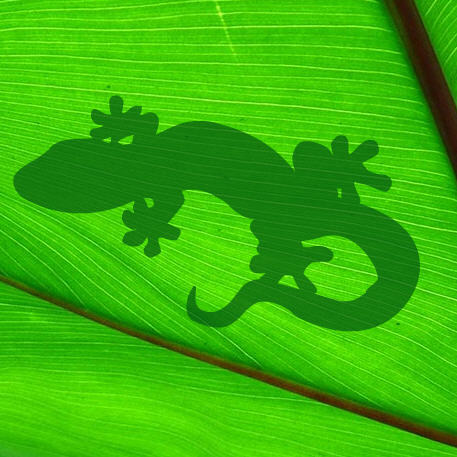 suspendedrain's profile picture. 