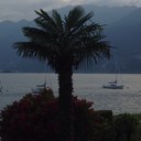 Ted Carey - @tedcarey77 - Twitter