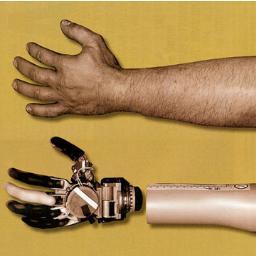 rtamblyn's profile picture. It's still not weird enough for me...