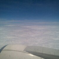 _ JC_ (@_kabuto_fl) 's Twitter Profile Photo