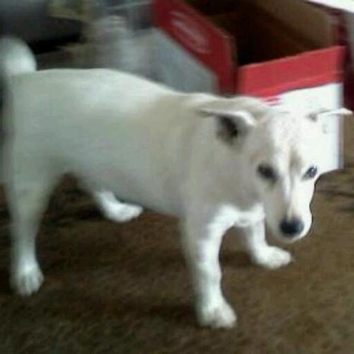 onehotguitarist's profile picture. Always searching for that perfect lick...one that will take your mind, your heart, & your soul... #muchlove