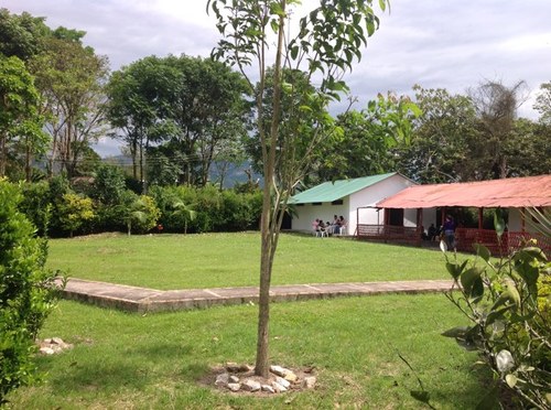 margom76's profile picture. 