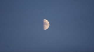 jacobtyge's profile picture. 