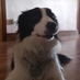 Robert  Rogerson (@robertrogerson) Twitter profile photo