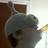 NickFolzie's profile image