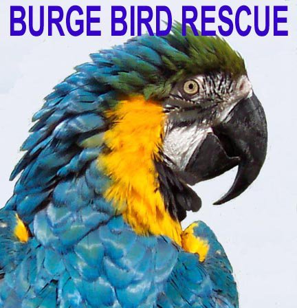 Kansas City area avian veterinary hospital and bird rescue organization