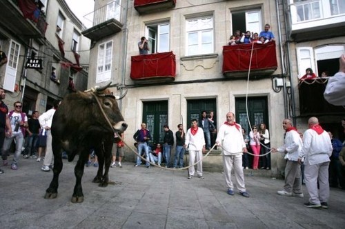 moc967's profile picture. https://t.co/L7kAFH9AW9