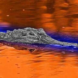 biggtodd09's profile picture. 