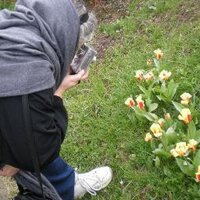 Teresa Wendt (@projectmat) 's Twitter Profile