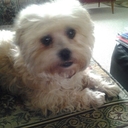 Jean Smith - @JeanSmith82 - Twitter