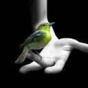 peter grillo - @fredcaardinal - Twitter