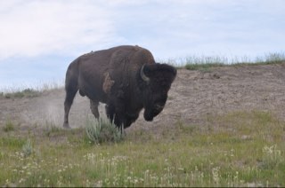 Latinmodel's profile picture. 