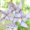 Veronica Adkins - @VAdkins5 - Twitter