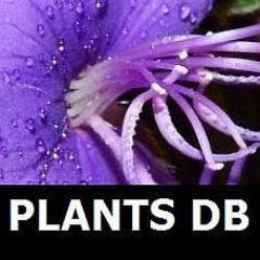 We created plantsdb.gr because we like plants. We like to take care of them, to observe them, to look after them, as well as to take pictures of them....