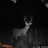 TEDNUGENT2016's profile picture. The future of sportsman
