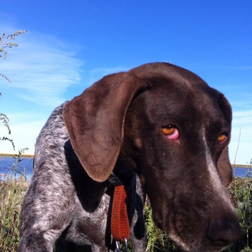 Flyfishing fanatic who fights invasive species with vigorous tenacity.