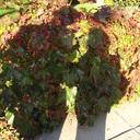 James Schmidt - @LatentFunction - Twitter