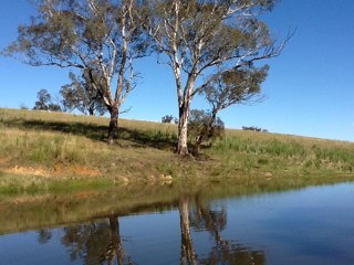 everdowns's profile picture. 